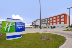 Отель Holiday Inn Express Donaldsonville, an IHG Hotel  Доналдсонвилл